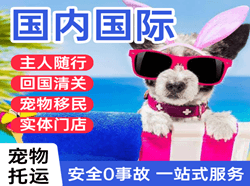南阳姜营航空空运国际宠物托运 【国